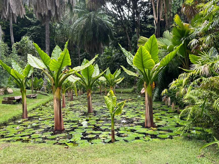 image n.1 of Full day Mahe Tour activity in Mahé, uploaded by supplier