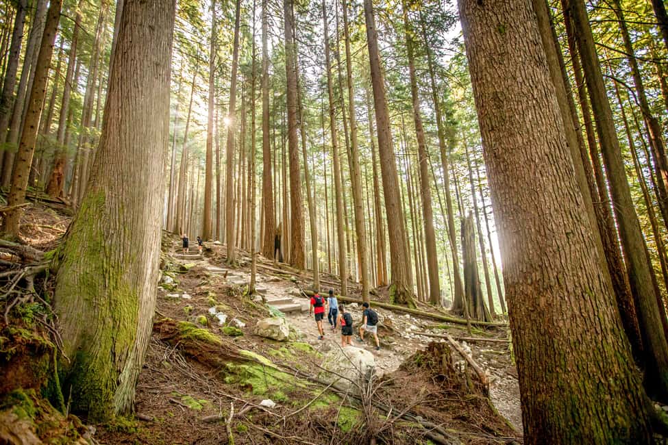 image n.6 of Grouse Mountain Skyride Admission Ticket activity in Vancouver, uploaded by supplier