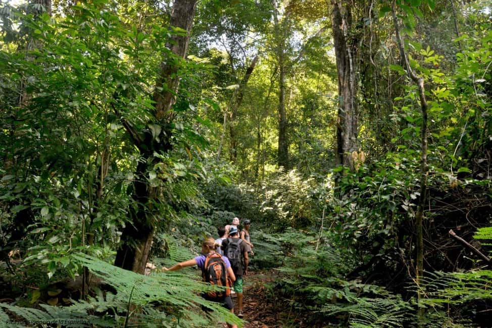 image n.2 of Carara National Park: Best Tour Carara National Park-One Day activity in Puntarenas Province, uploaded by supplier