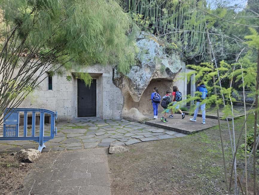 image n.13 of Private Bandama Caldera, Botanic Garden(/Wine*), Old Town activity in Las Palmas, uploaded by supplier