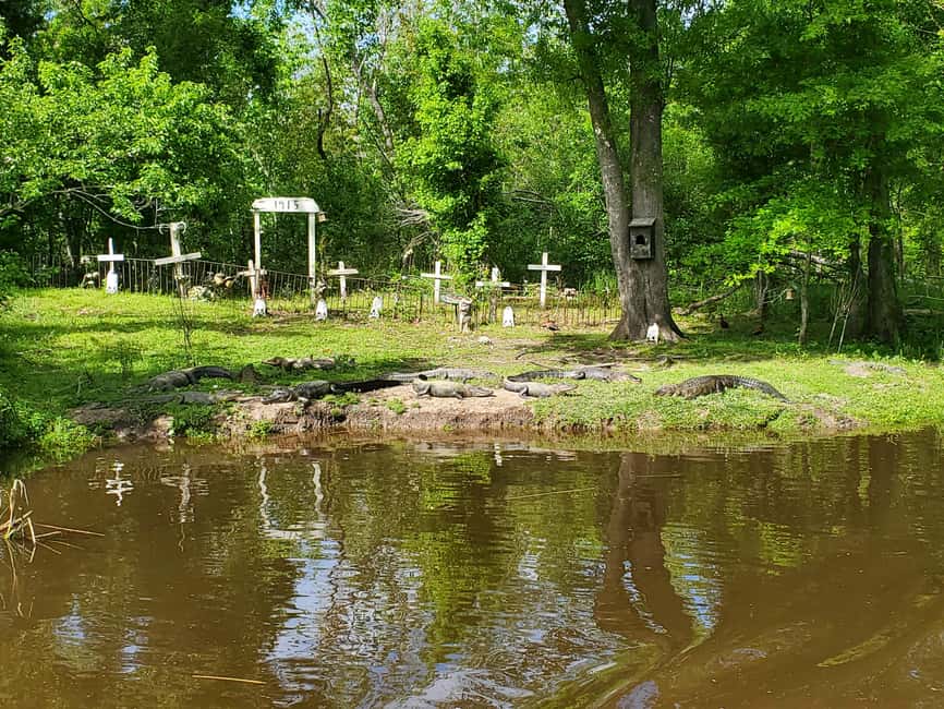 Immagine nº 8 di New Orleans: Oak Alley Plantation -N- Swamp Tour di un giorno intero attività a Vacherie, Louisiana, caricata dal fornitore