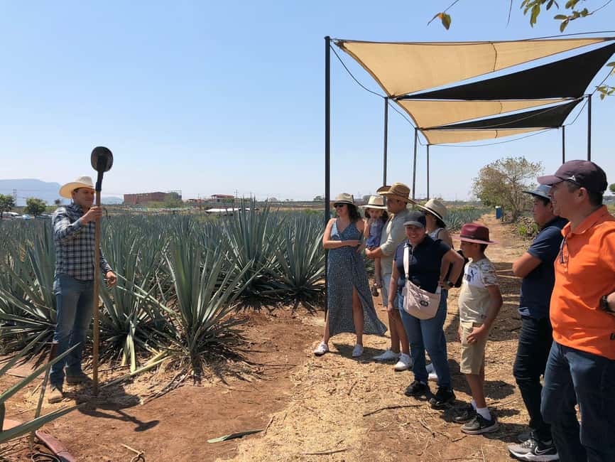 imagen n.º 14 de Tour Clásico Ruta de Tequila desde Guadalajara y cantaritos el GÜERO!!! actividad en Amatitán, subida por el proveedor