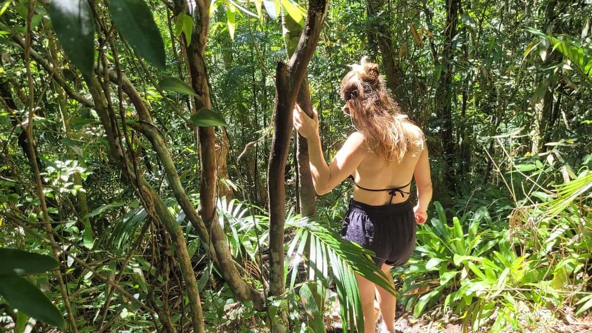 image n.4 of Florianopolis: Lagoinha do Leste Natural Park Hike activity in South Region, Brazil, uploaded by supplier