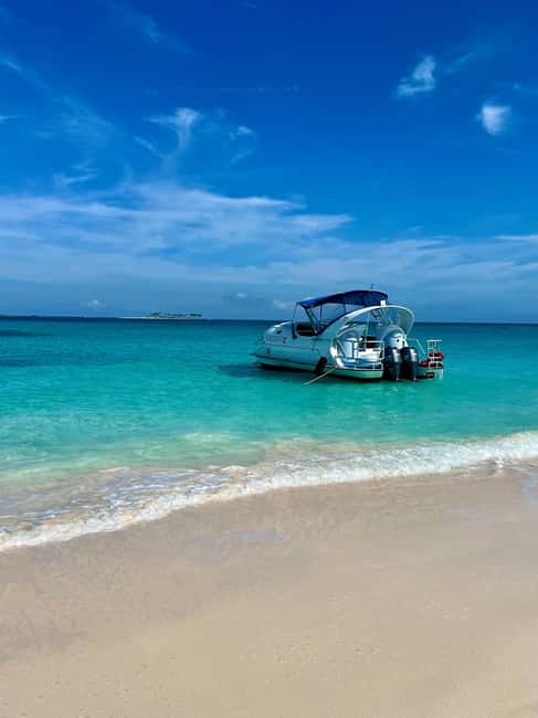 image n.3 of Paradise Island: Glass-Bottom Boat Tour with Live Commentary activity in New Providence, uploaded by supplier