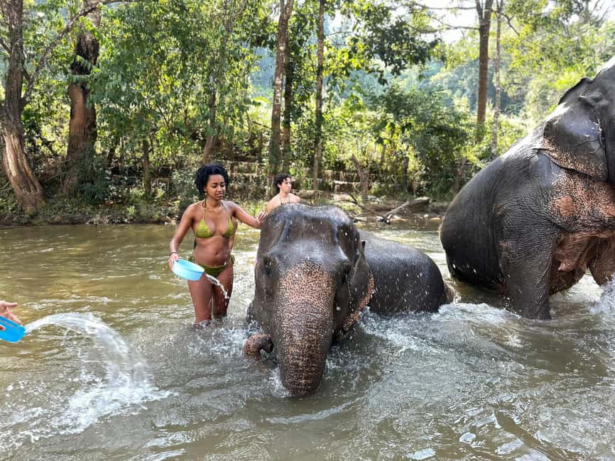 image n.21 of Chiang Mai: Elephant Sanctuary, Waterfall & Bamboo Rafting activity in Chiang Mai, uploaded by supplier