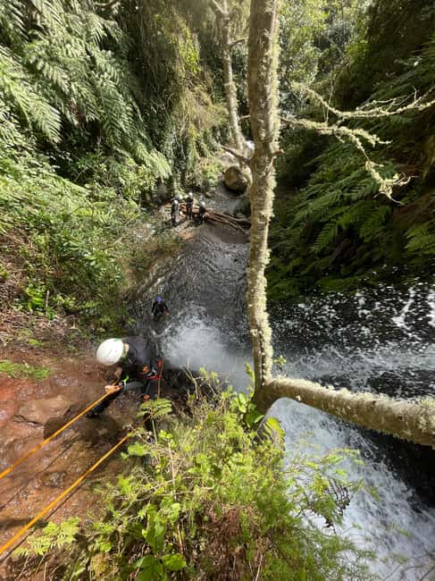 image n.7 of Madeira: Level-1 Canyoning Adventure activity in Funchal, uploaded by supplier