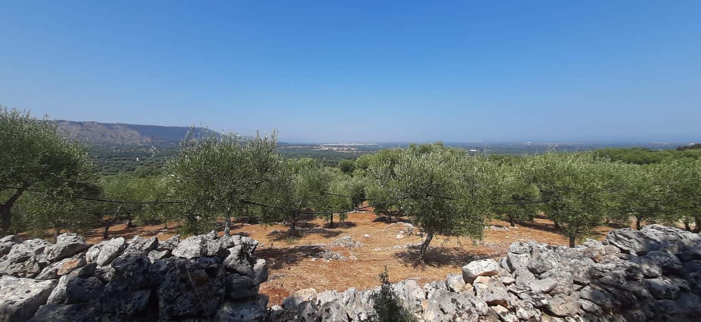 Immagine nº 11 di Ostuni: Tour in bicicletta con un bicchiere di vino e bruschetta attività a Ostuni, caricata dal fornitore