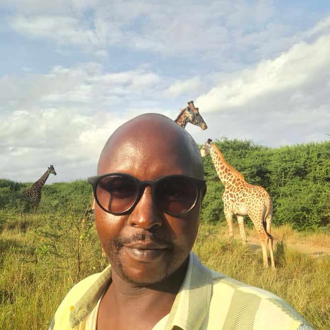 image n.13 of MOMBASA:FORTJESUS,OLDTOWN,GIRAFFE,OSTRICH,ORYX WILD,DAYTOUR activity in Mombasa, uploaded by supplier