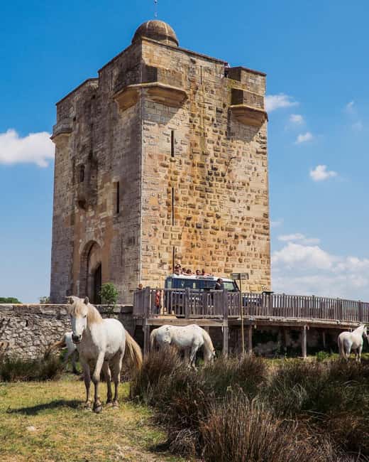 image n.3 of Safari 4x4 in Camargue / VIP Tour 3h30 / Grau du Roi activity in South of France, uploaded by supplier