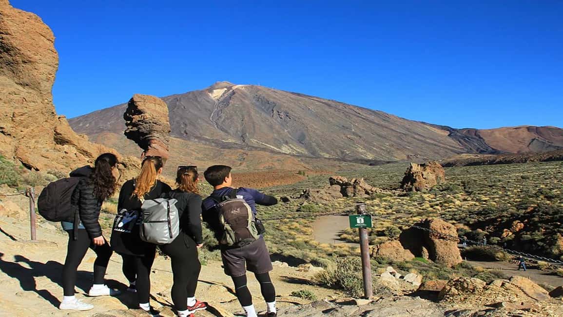billede nr.6 af aktiviteten Fra det sydlige Tenerife: Halvdagstur til Teide-bjerget i Kanarieøerne, uploadet af udbyder