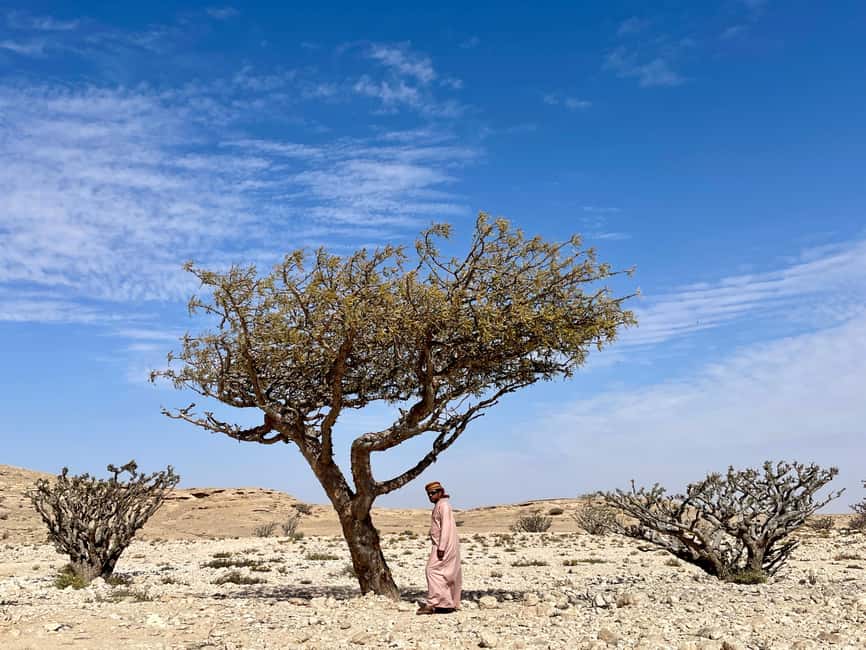 image n.20 of Desert Safari, Sunset & Sand Bashing (Rub Al Khali Desert) activity in Dhofar, uploaded by supplier