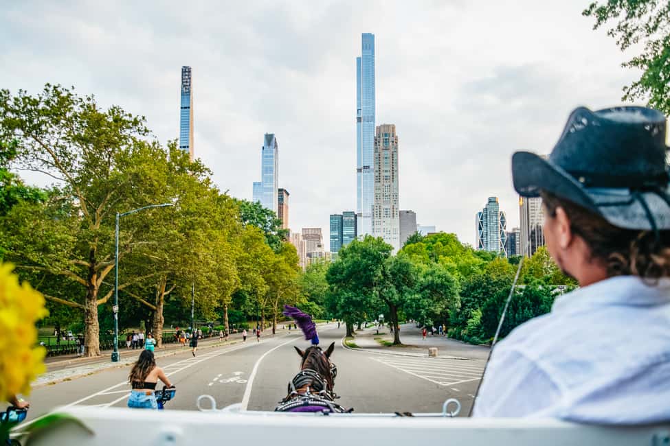 Bild Nr. 10 von NYC: Geführte Kutschfahrt im Central Park Aktivität in New York, hochgeladen vom Anbieter