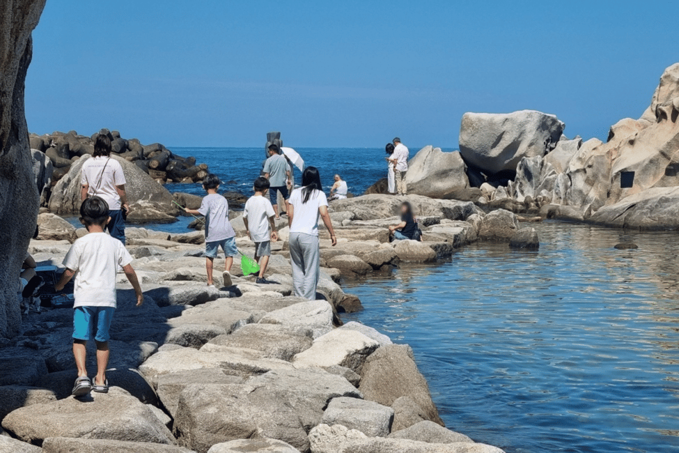 image n.15 of Seoul: Gangneung from K-Pop Band Bus Stop to Anmok Beach activity in Gangneung-si, uploaded by supplier