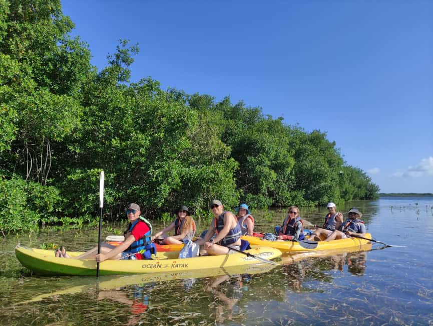 imagen n.º 6 de Cancún: Excursión en Kayak por la Laguna Nichupté actividad en Cancún, subida por el proveedor