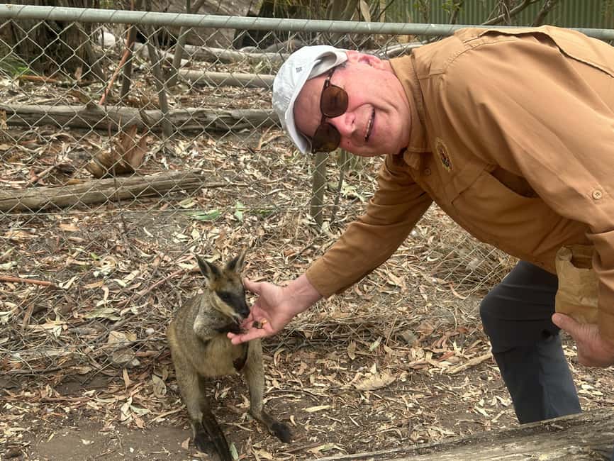 imagen n.º 111 de Desde Adelaida: Abraza a un Koala y Visita Histórica a Hahndorf actividad en Adelaida, subida por el proveedor