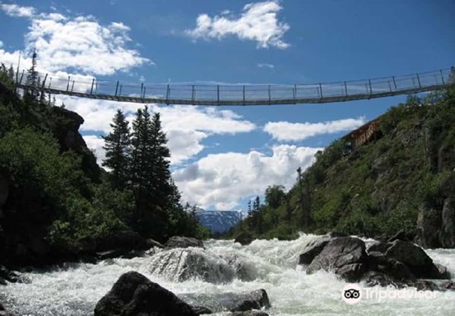 image n.1 of From Skagway: White Pass and Yukon Suspension Bridge Tour activity in British Columbia, uploaded by supplier