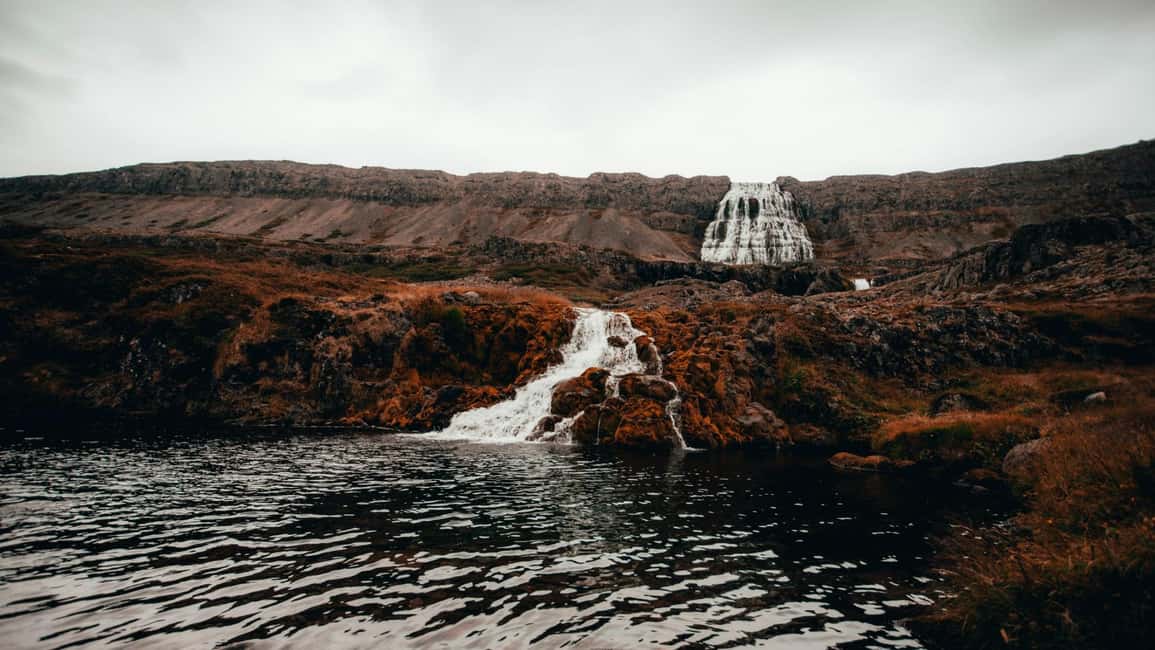 Image N°4 de Isafjordur : visite guidée de la cascade Dynjandi activité à Ísafjörður, publiée par le prestataire