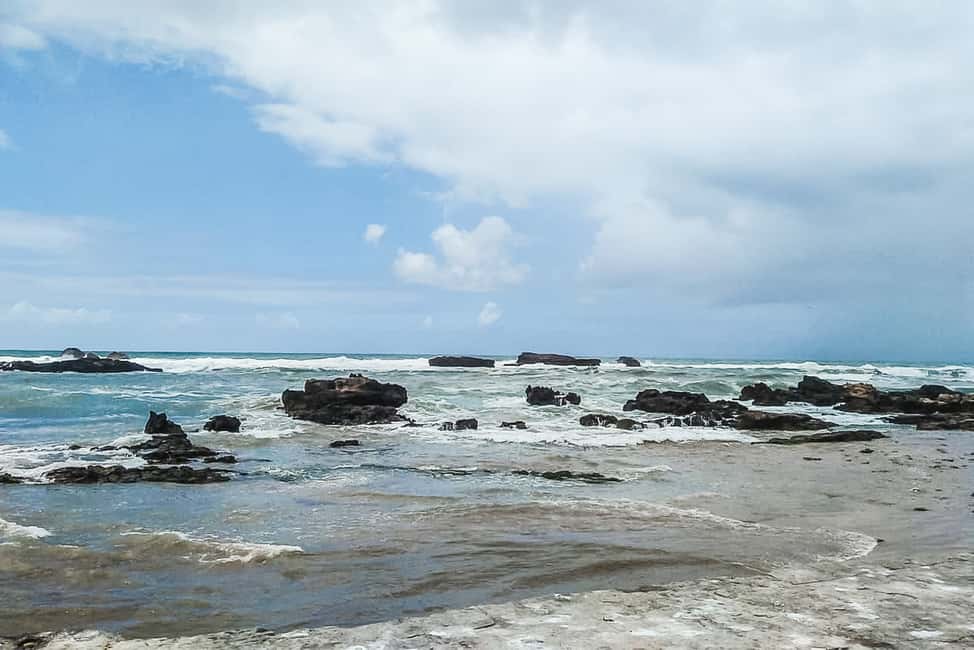 image n.8 of From Marrakech: Essaouira Full-Day Trip activity in Essaouira, uploaded by supplier