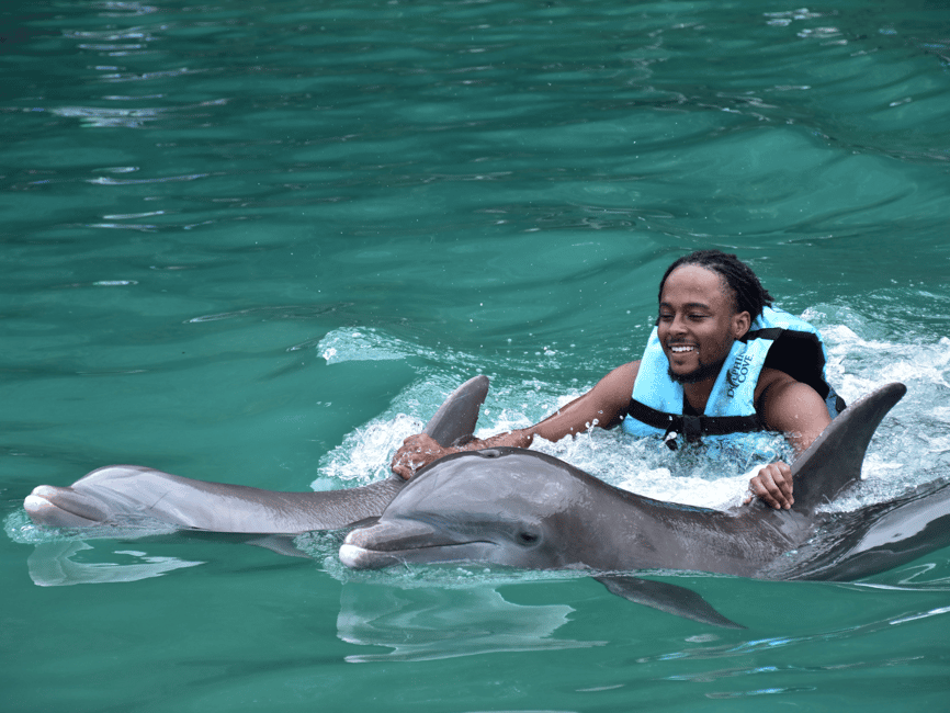 imagem n.4 de Montego Bay: Viagem de um dia à Dolphin Cove Ocho Rios com transferes atividade em Ocho Rios, carregada pelo fornecedor