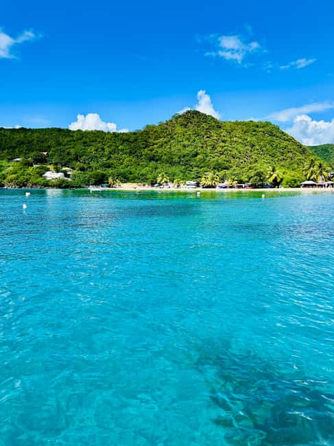 Image N°3 de Martinique : Découverte des tortues et des anses coralliennes activité à Les Anses-d’Arlet, publiée par le prestataire
