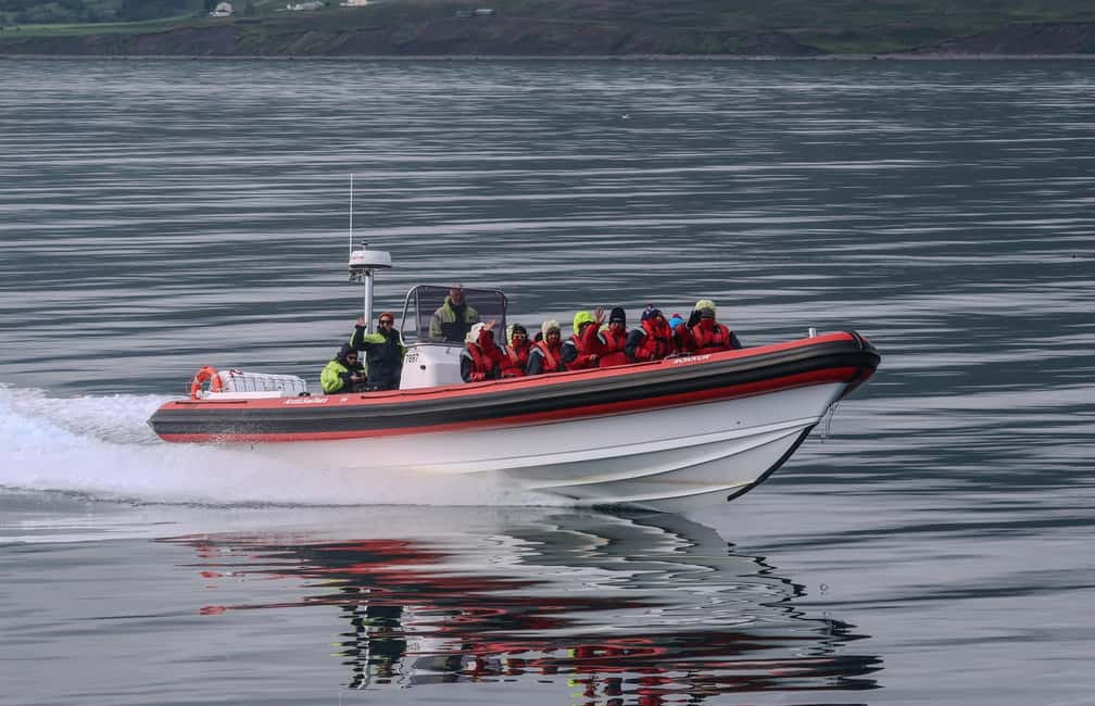 bild nr.4 av Dalvík: Valskådning med motorbåt aktivitet i Norðurland eystra (Nordöstra regionen), uppladdad av arrangören