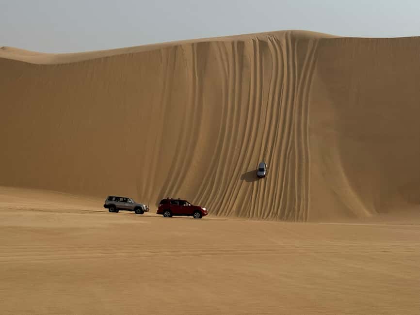 image n.32 of Walvisbay: Sandwich Harbour 4x4 Tour-Unparalleled Experience activity in Erongo, uploaded by supplier