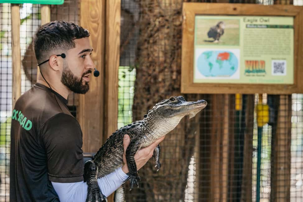 bild n.21 av Orlando: Drive-Thru Safari Park i Wild Florida aktivitet i Florida, uppladdad av leverantör