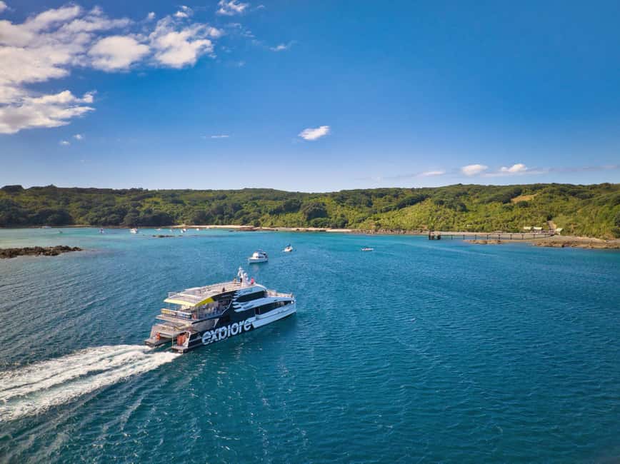 Bild Nr. 1 von Auckland: Tiritiri Matangi Island Fähre Aktivität in Auckland, hochgeladen vom Anbieter