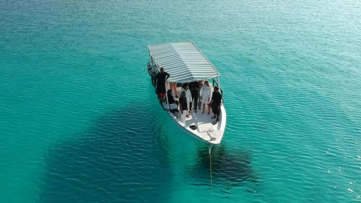 Immagine nº 30 di Isola di Daymaniyat: tour di snorkeling con pranzo gustoso attività a Seeb, caricata dal fornitore