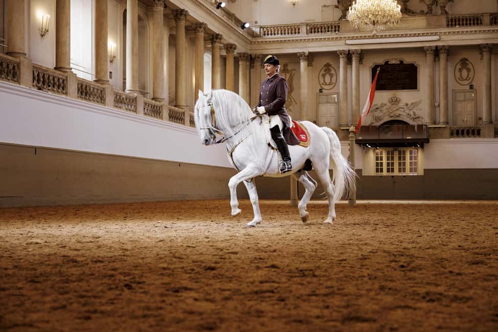 image n.3 of Performance Of The Lipizzans At Spanish Riding School activity in Vienna, uploaded by supplier
