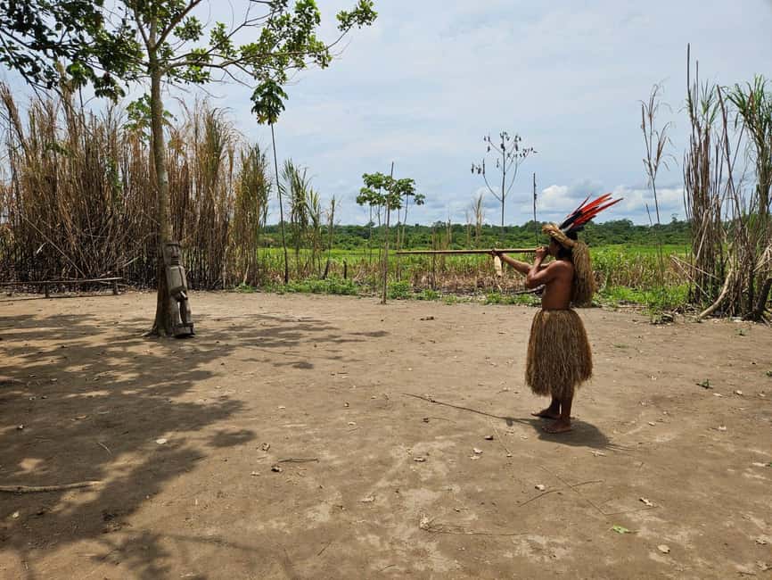 image n.7 of From Iquitos: Full day tour in the Peruvian jungle activity in Huanuco Region, uploaded by supplier