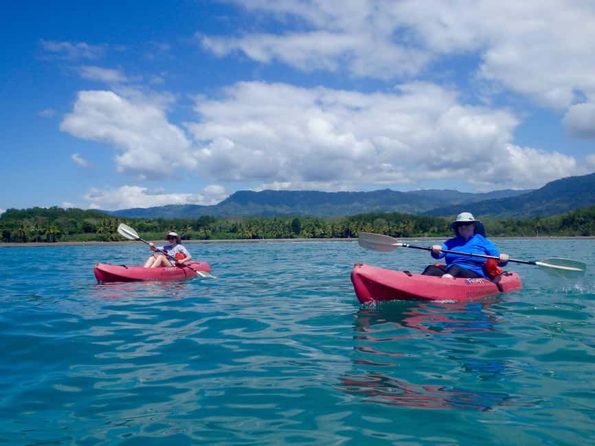 bild nr.10 av Uvita: Kajak & snorkling Privat tur - Marino Ballena N. Park aktivitet i Uvita, Costa Rica, uppladdad av arrangören