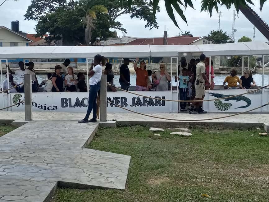 imagem n.10 de Jamaica: Tour guiado pelo Black River Safari e tour pelas Cataratas YS atividade em Montego Bay, carregada pelo fornecedor