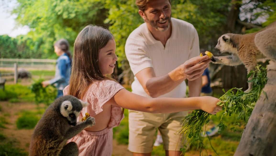 image n.7 of Dubai: Dubai Safari Park Entry Pass activity in Dubai, uploaded by supplier