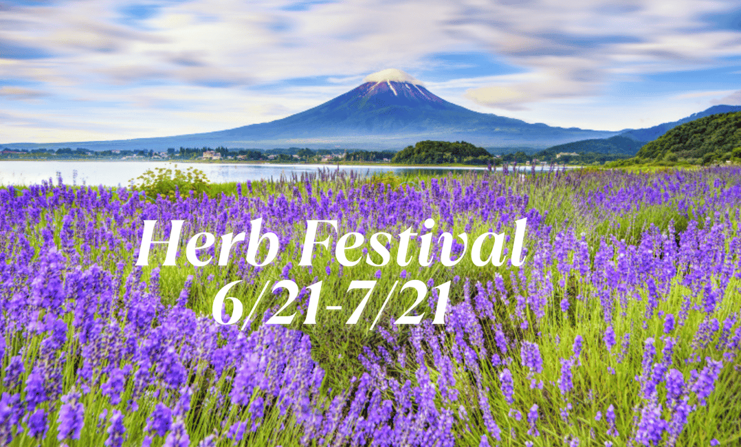 image n.2 of Tokyo: Mt. Fuji, LakeKawaguchiko, Pagoda, & Oishi Park Tour activity in Fujinomiya, uploaded by supplier