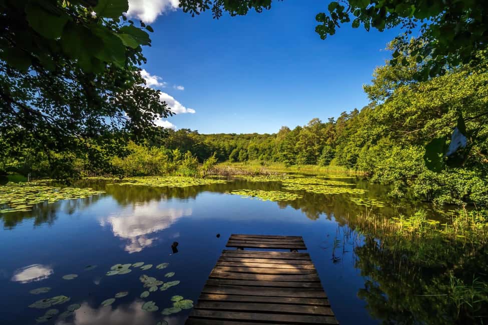 image n.3 of Szczecin Wolin National Park Private Guided Tour activity in West Pomeranian Voivodeship, uploaded by supplier