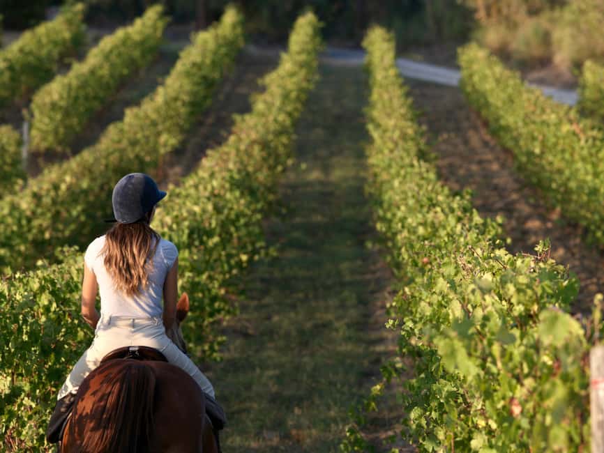 imagen n.º 3 de Siena: Aventura a caballo por la campiña toscana actividad en Siena, subida por el proveedor