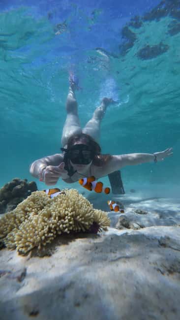 image n.25 of Koh Lipe: Longtail Boat Snorkeling Trip with Lunch activity in Gulf of Thailand, uploaded by supplier
