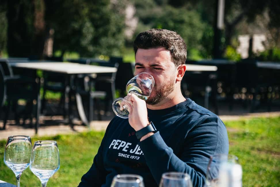 imagem n.11 de Loulé: Visita guiada e degustação de vinhos na Quinta da Tôr atividade em Loulé, carregada pelo fornecedor