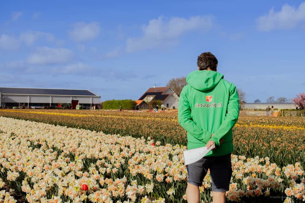 image n.2 of Amsterdam: Tulip Farm Visit, Keukenhof, and Windmill Cruise activity in Voorhout, The Netherlands, uploaded by supplier