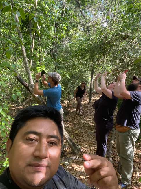 Bild Nr. 5 von Bacalar: Tagestour zu den Calakmul-Ruinen mit einem Stopp im Dschungel Aktivität in Bacalar, hochgeladen vom Anbieter