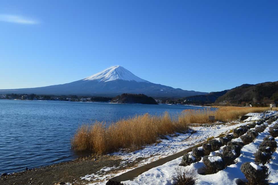 image n.15 of Tokyo: Mt. Fuji, LakeKawaguchiko, Pagoda, & Oishi Park Tour activity in Fujinomiya, uploaded by supplier