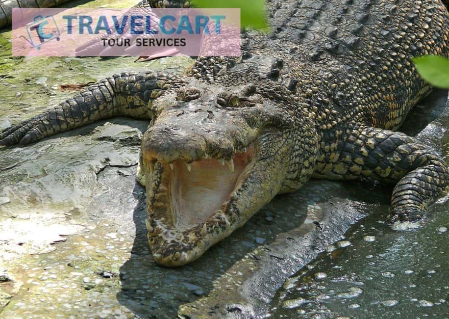 image n.5 of PPS CITY TOUR activity in Puerto Princesa, uploaded by supplier