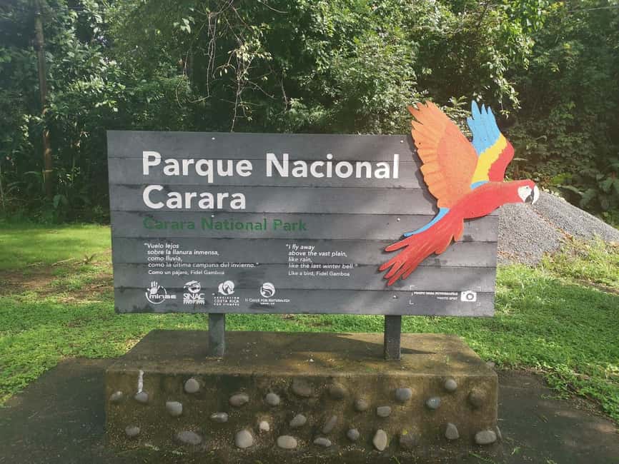 image n.8 of Carara National Park: Best Tour Carara National Park-One Day activity in Puntarenas Province, uploaded by supplier