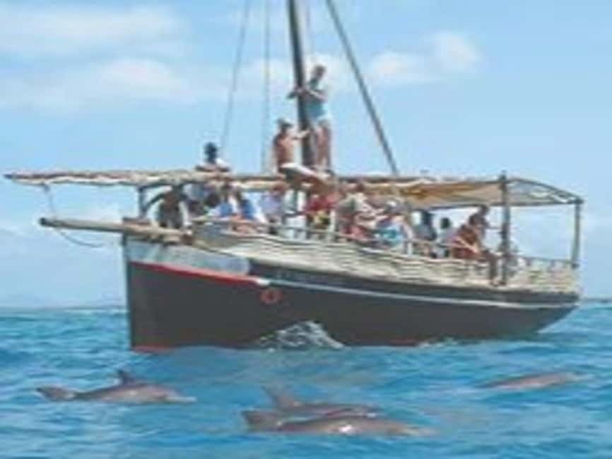 Mombasa: Snorkeling, Dolphin watching, seafood lunch. | GetYourGuide