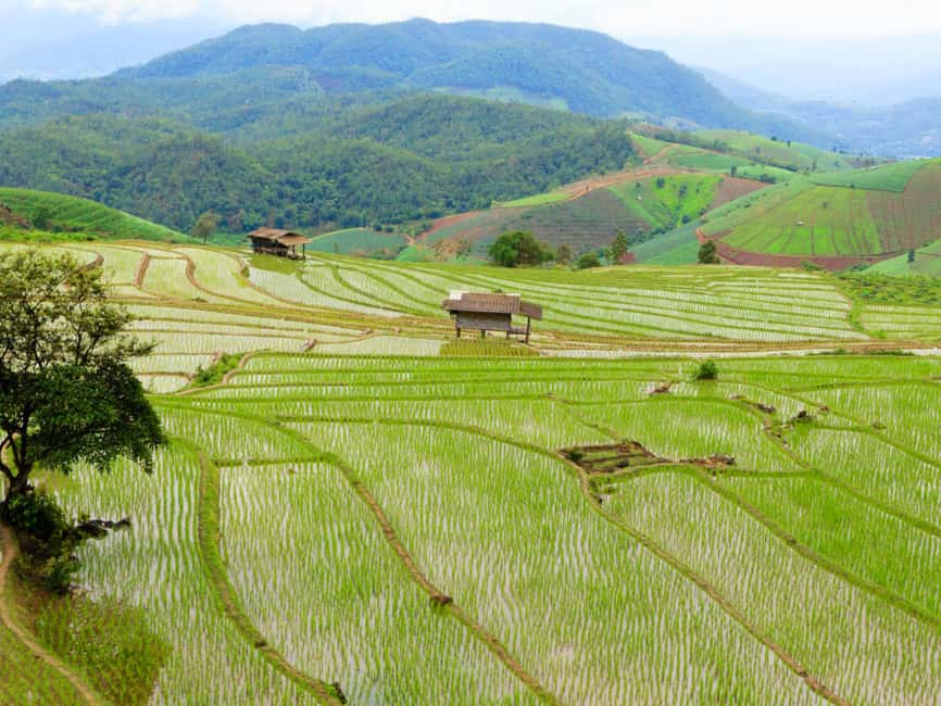 image n.15 of Chiang Mai: Doi Inthanon Park and Pha Dok Siew Trail Trek activity in Chiang Mai, uploaded by supplier