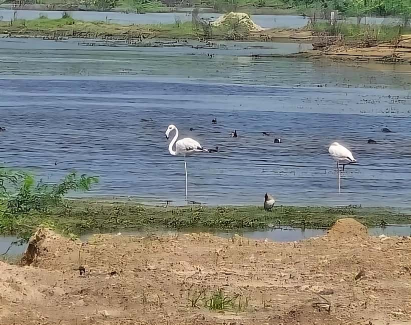 image n.2 of Bishnoi Village :Safari tour activity in Jodhpur, uploaded by supplier