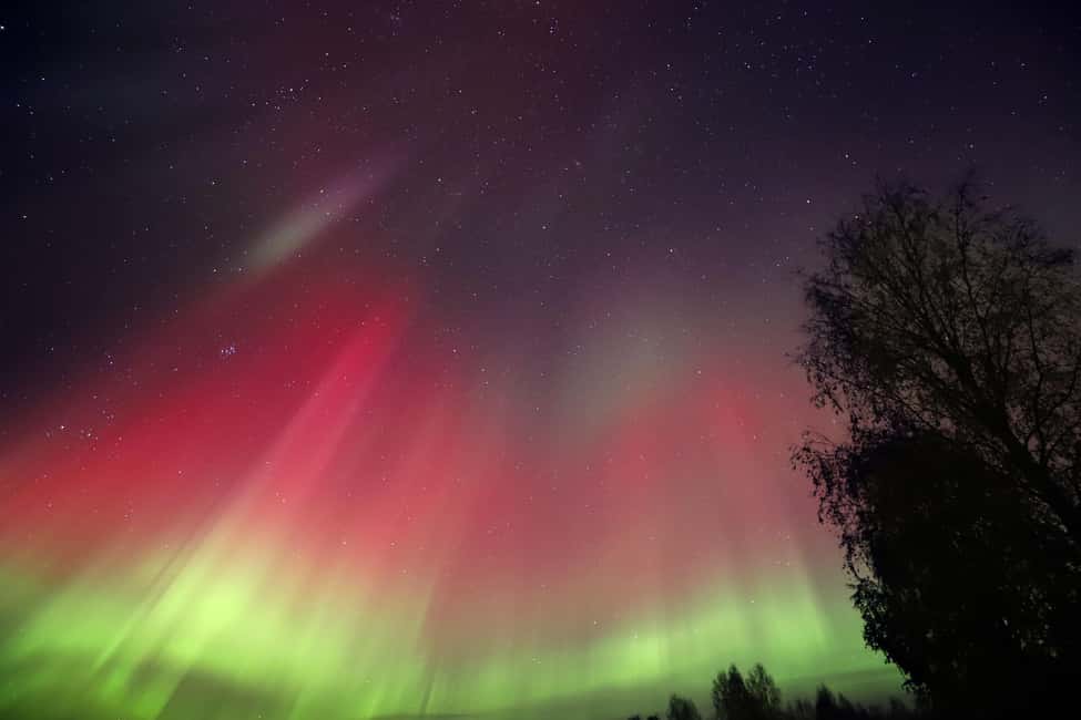 bild nr.16 av Rovaniemi: Aurora jakttur med fotografering med Van aktivitet i Rovaniemi, uppladdad av arrangören