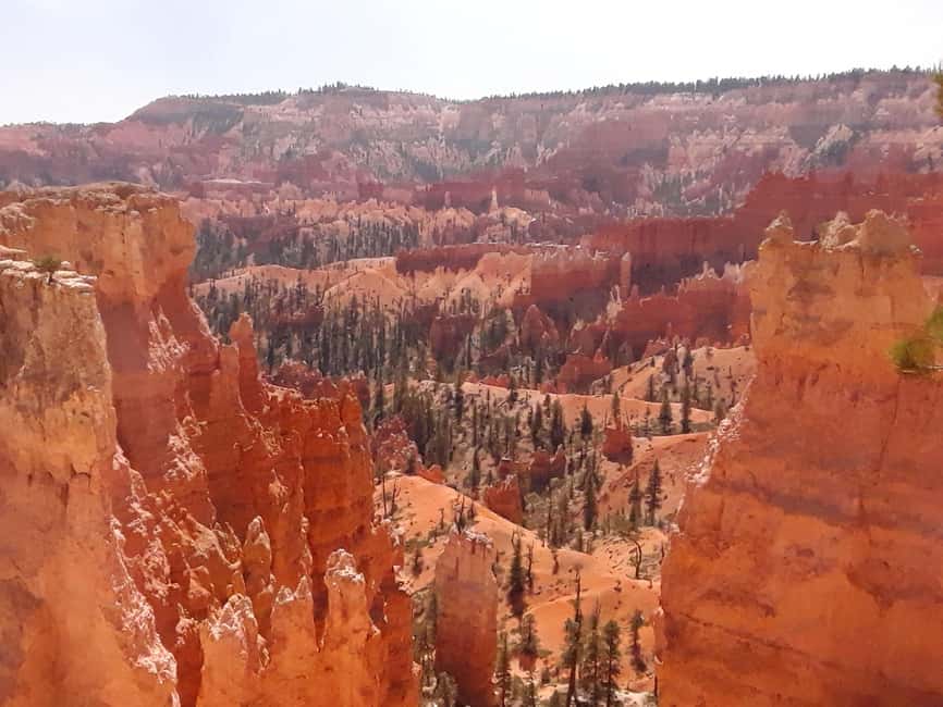 image n.3 of Small Group Tour Zion & Bryce Canyon National from Las Vegas activity in Utah, uploaded by supplier