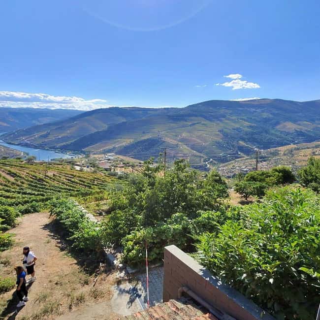Image N°28 de Depuis Porto : Vallée du Douro avec vignobles, déjeuner et excursion en bateau activité à Région Nord, Portugal, publiée par le prestataire